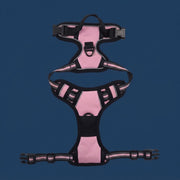 Trekpaw No-Pull Harness